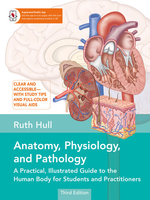 Cover art of Anatomy, Physiology, and Pathology: A Practical, Illustrated Guide to the Human Body for Students and Practitioners—Clear and accessible, with study tips and full-color visual aids by Ruth Hull