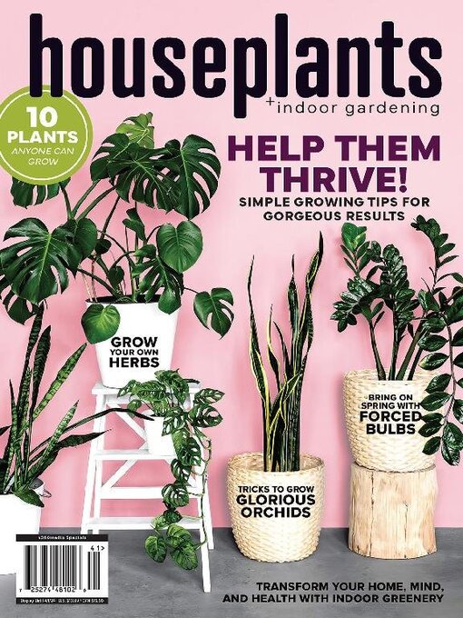 droopy monstera leaves 10in Monstera Deliciosa – Paraíso Plant Studio main image 1