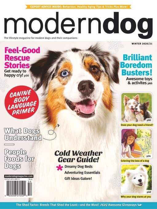 Boredom Busters  Modern Dog magazine