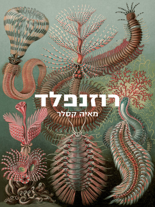 Libby - רוזנפלד