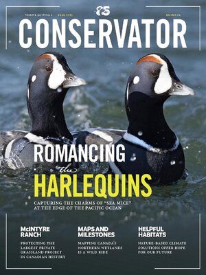 Ducks Unlimited Canada  The Canadian Encyclopedia