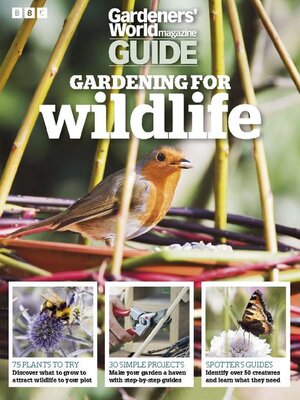 Identifying Bumblebees  BBC Gardeners World Magazine